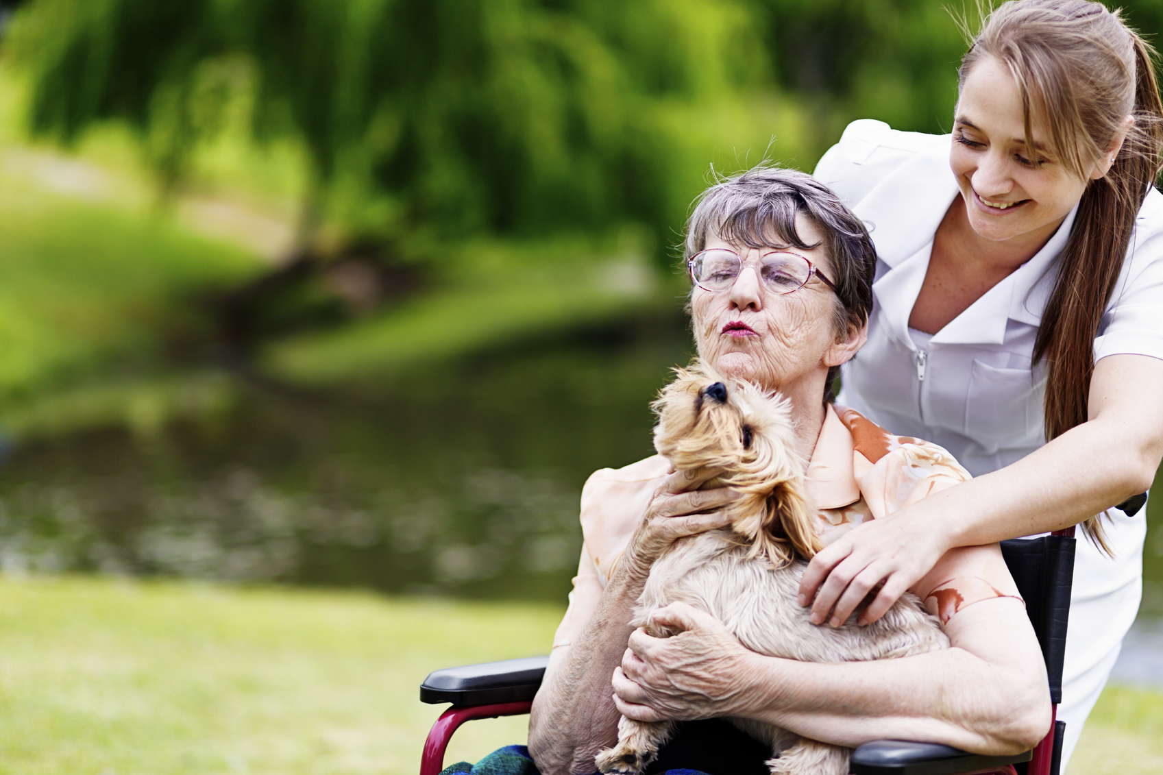 An old woman in a wheelchair cuddles her pet dog on her lap, her nurse looking on, smiling, as they all spend some time relaxing in a park. Life is good! Copy space on out-of-focus greenery.